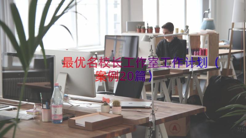 最优名校长工作室工作计划（案例20篇）