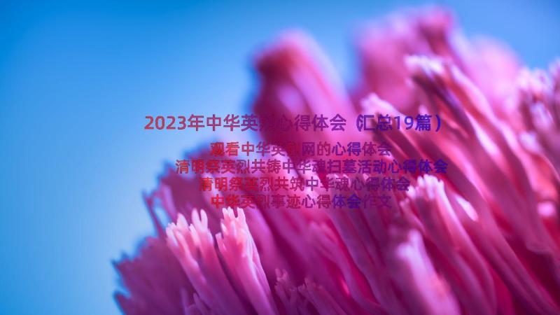 2023年中华英烈心得体会（汇总19篇）