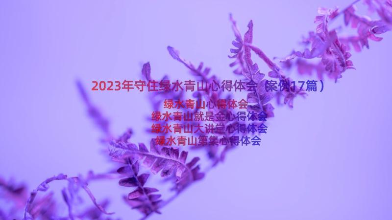 2023年守住绿水青山心得体会（案例17篇）