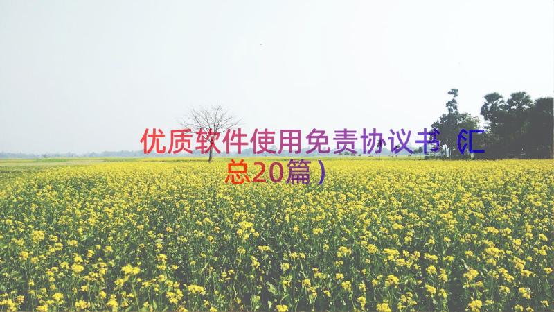 优质软件使用免责协议书（汇总20篇）