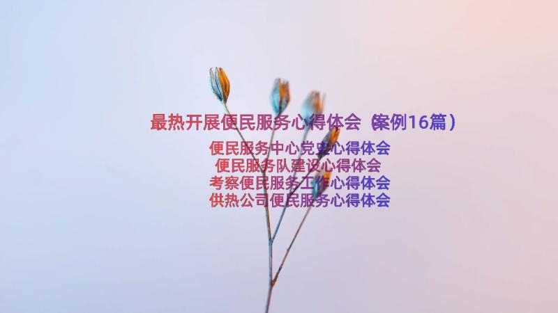 最热开展便民服务心得体会（案例16篇）