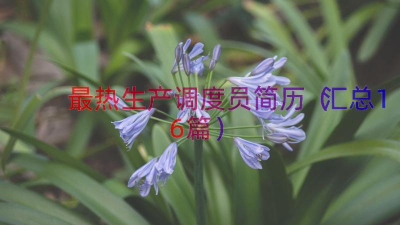 最热生产调度员简历（汇总16篇）