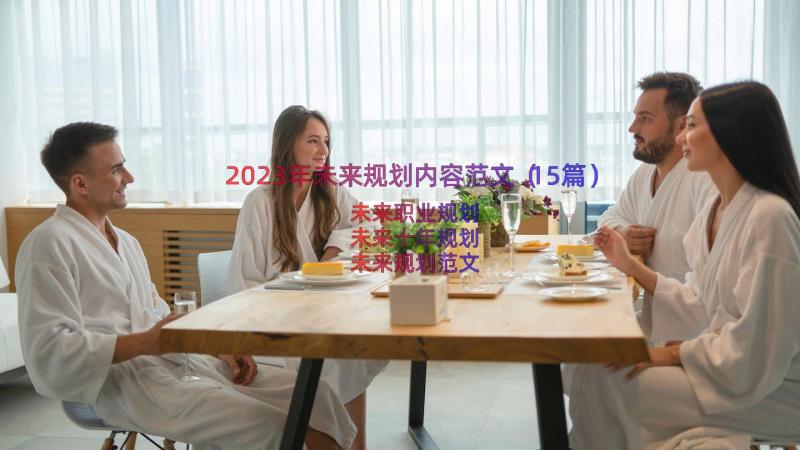 2023年未来规划内容范文（15篇）