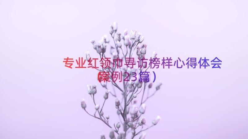 专业红领巾寻访榜样心得体会（案例23篇）