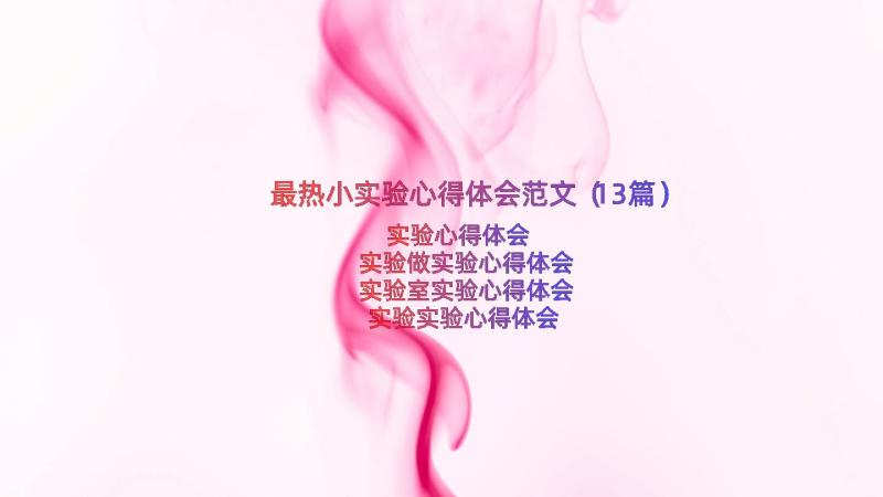 最热小实验心得体会范文（13篇）