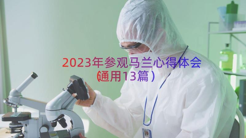 2023年参观马兰心得体会（通用13篇）