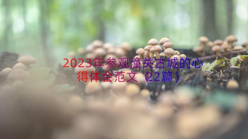 2023年参观潼关古城的心得体会范文（22篇）