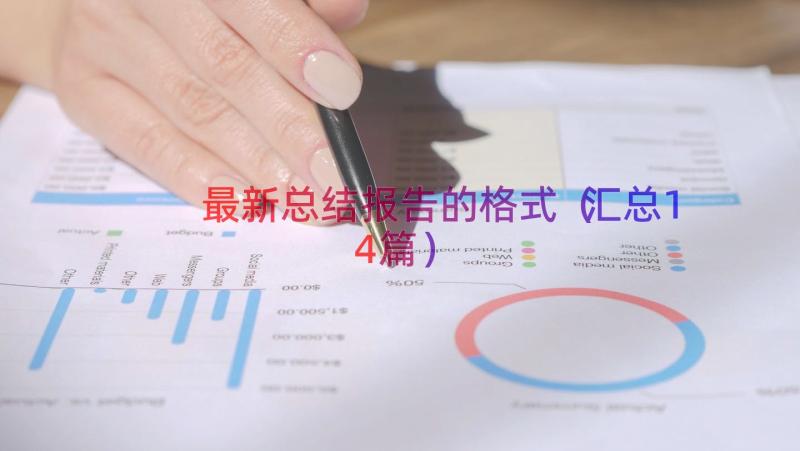 最新总结报告的格式（汇总14篇）