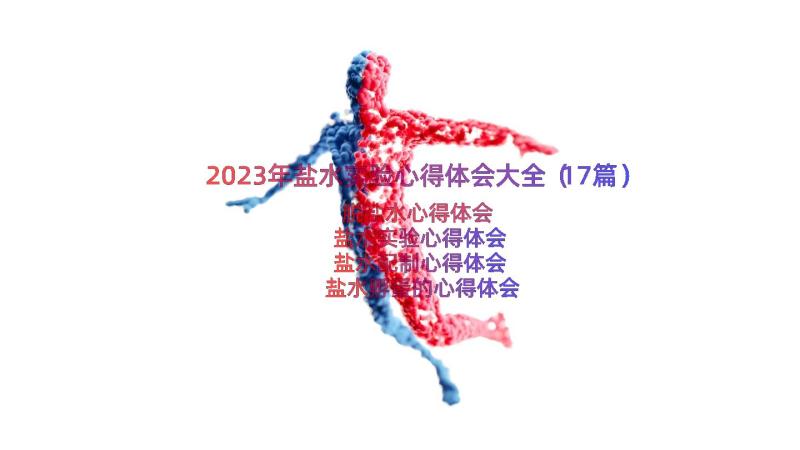 2023年盐水实验心得体会大全（17篇）