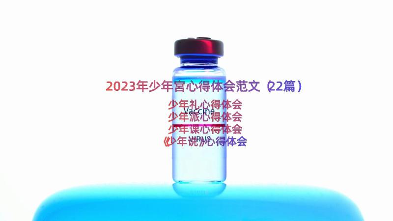 2023年少年宮心得体会范文（22篇）