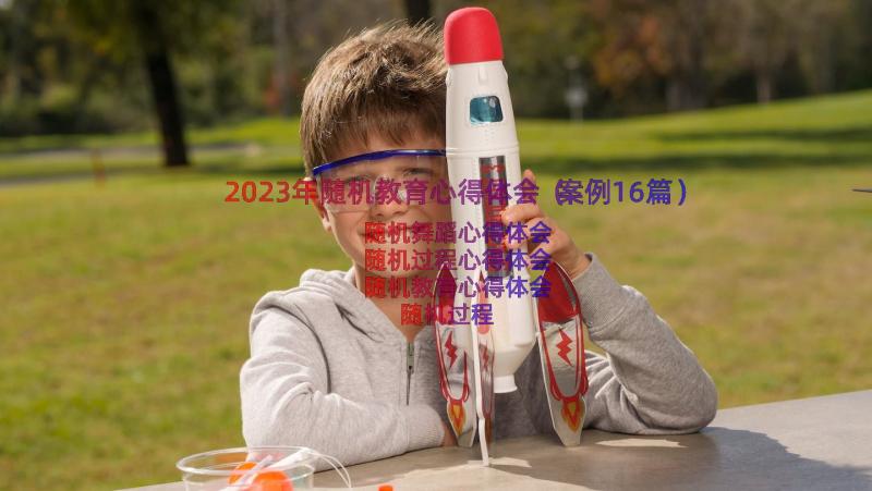 2023年随机教育心得体会（案例16篇）