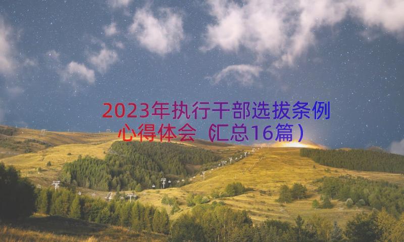 2023年执行干部选拔条例心得体会（汇总16篇）