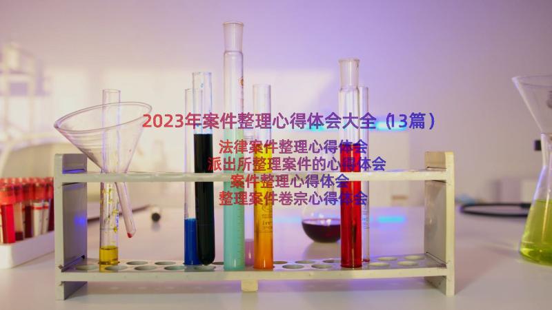 2023年案件整理心得体会大全（13篇）