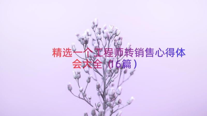 精选一个工程师转销售心得体会大全（16篇）