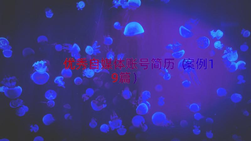 优秀自媒体账号简历（案例19篇）