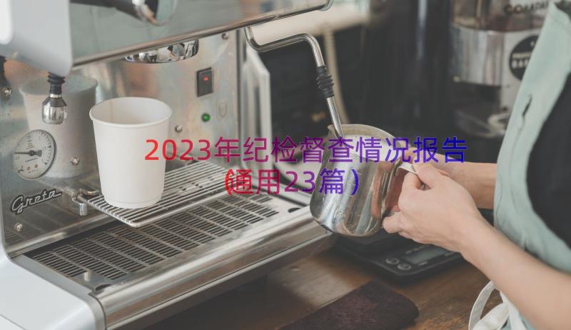 2023年纪检督查情况报告（通用23篇）