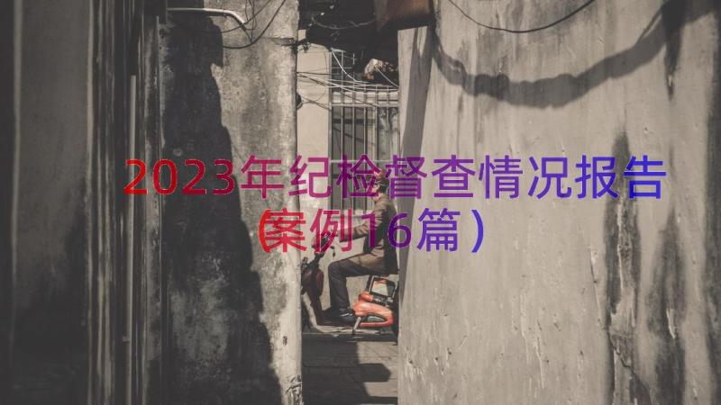 2023年纪检督查情况报告（案例16篇）