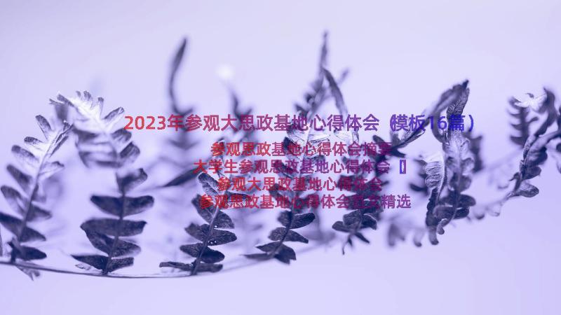 2023年参观大思政基地心得体会（模板16篇）