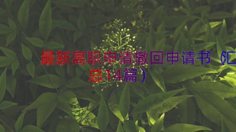 最新离职申请撤回申请书（汇总14篇）