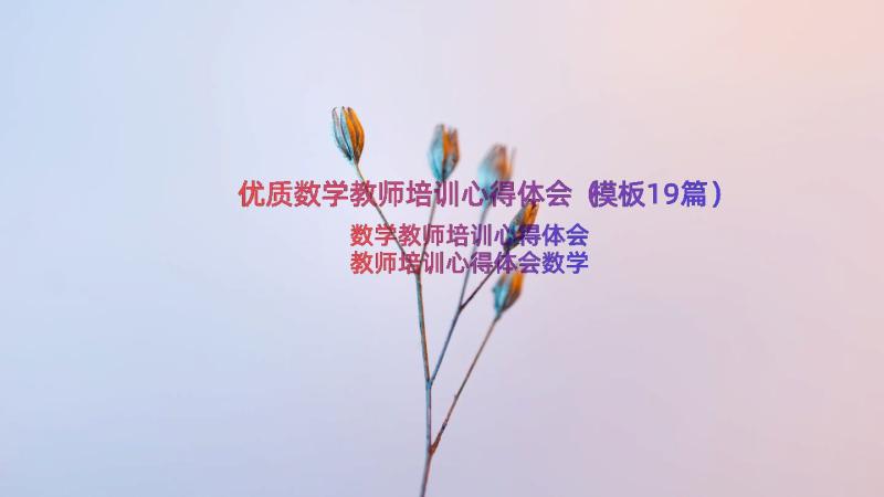 优质数学教师培训心得体会（模板19篇）