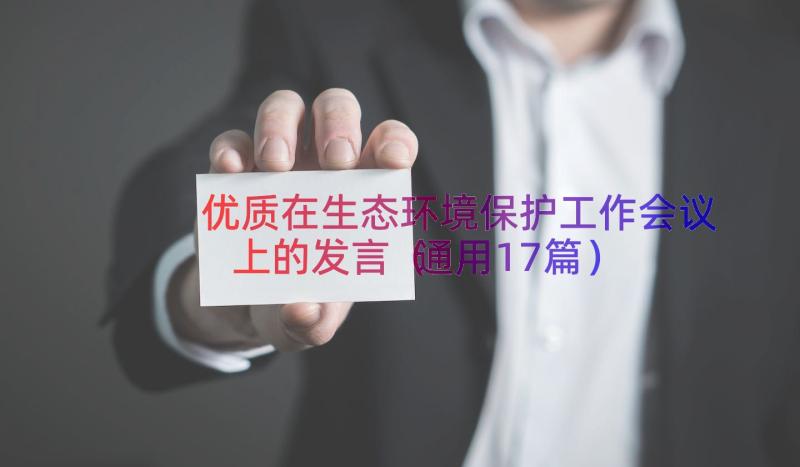 优质在生态环境保护工作会议上的发言（通用17篇）