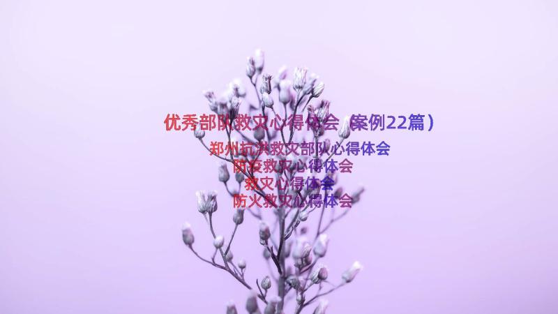 优秀部队救灾心得体会（案例22篇）