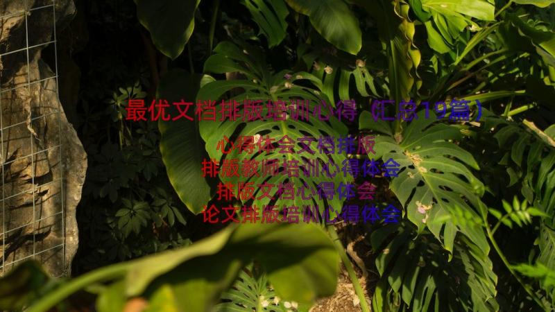 最优文档排版培训心得（汇总19篇）