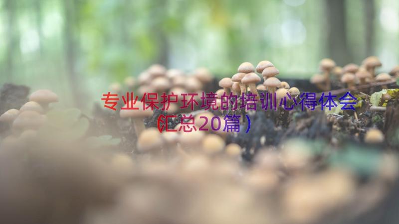 专业保护环境的培训心得体会（汇总20篇）