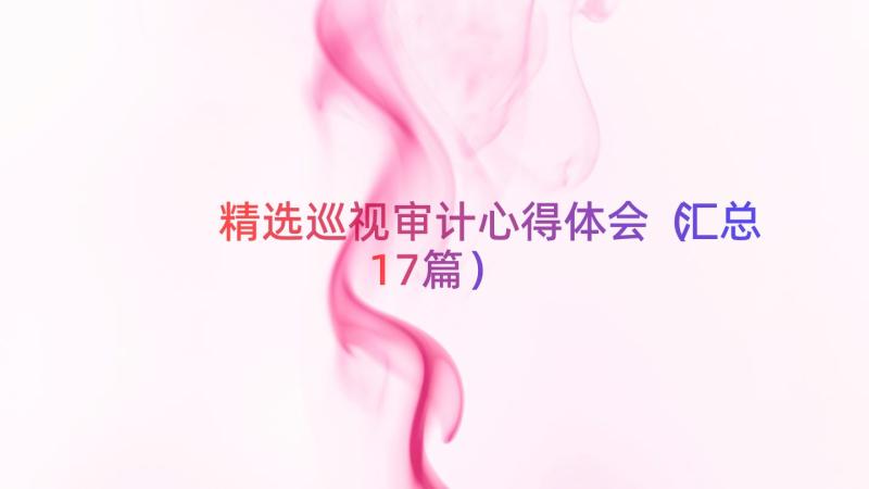 精选巡视审计心得体会（汇总17篇）