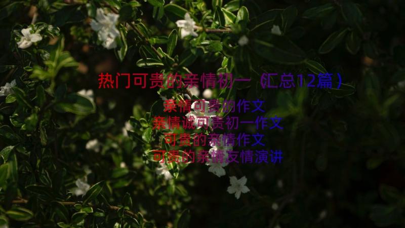 热门可贵的亲情初一（汇总12篇）