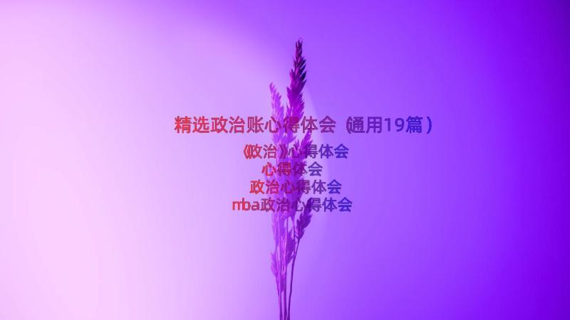 精选政治账心得体会（通用19篇）