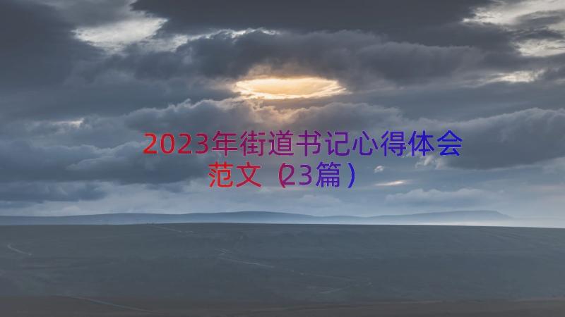 2023年街道书记心得体会范文（23篇）