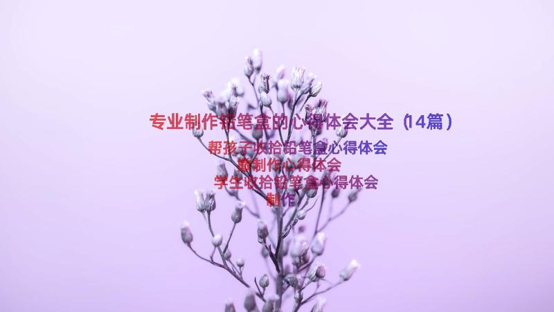 专业制作铅笔盒的心得体会大全（14篇）