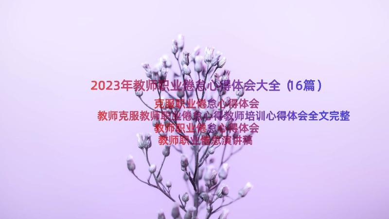 2023年教师职业倦怠心得体会大全（16篇）