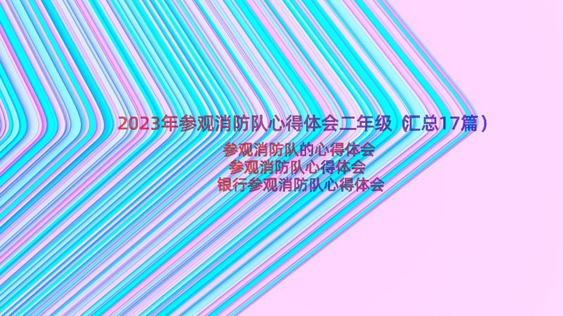 2023年参观消防队心得体会二年级（汇总17篇）