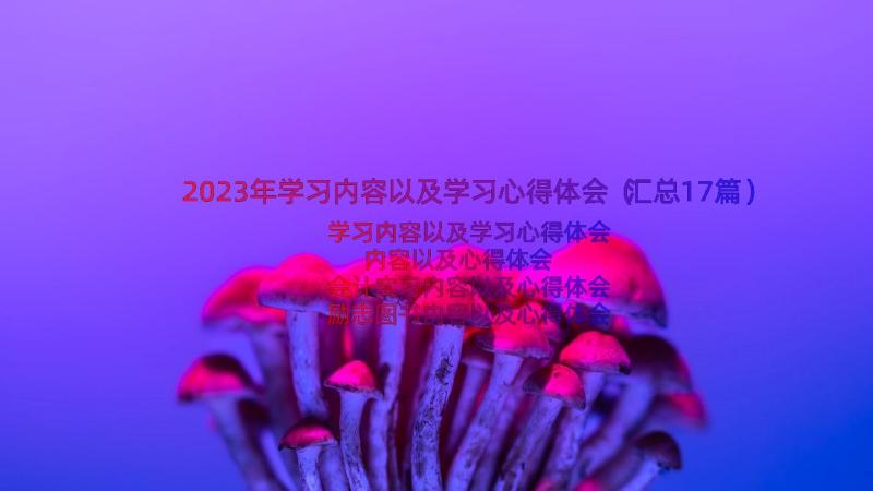 2023年学习内容以及学习心得体会（汇总17篇）