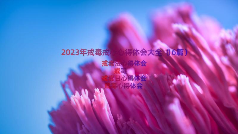 2023年戒毒戒心心得体会大全（16篇）