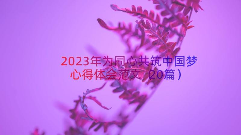 2023年为同心共筑中国梦心得体会范文（20篇）