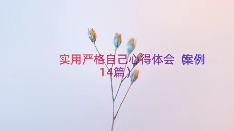 实用严格自己心得体会（案例14篇）