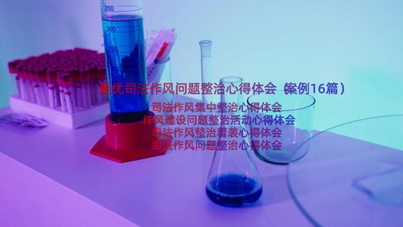 最优司法作风问题整治心得体会（案例16篇）