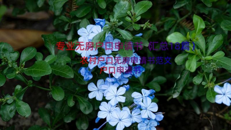 专业无房户口申请书（汇总18篇）