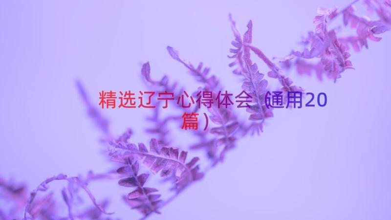 精选辽宁心得体会（通用20篇）