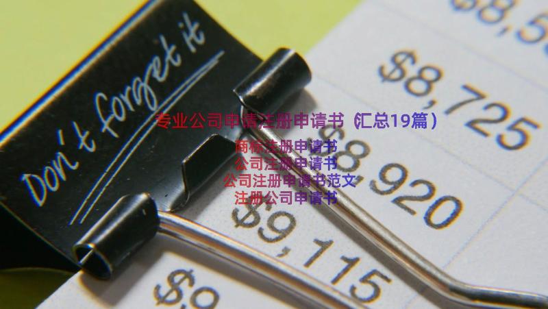 专业公司申请注册申请书（汇总19篇）