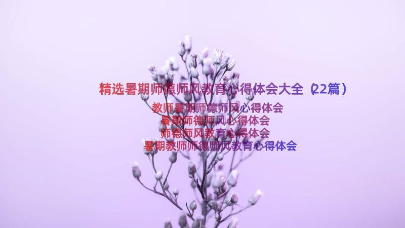 精选暑期师德师风教育心得体会大全（22篇）