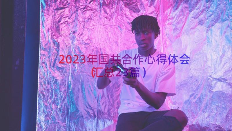 2023年国共合作心得体会（汇总23篇）