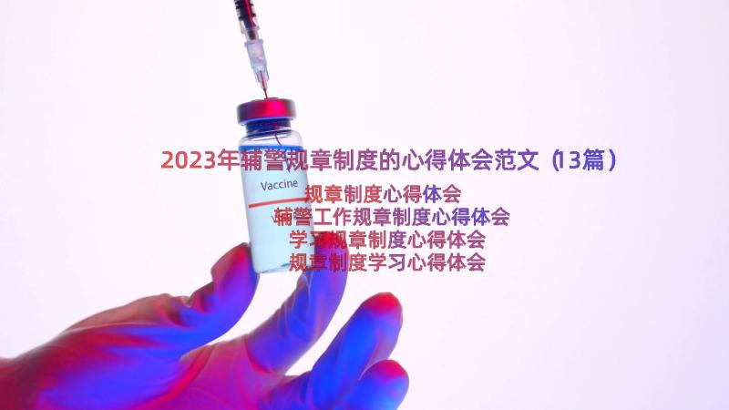 2023年辅警规章制度的心得体会范文（13篇）