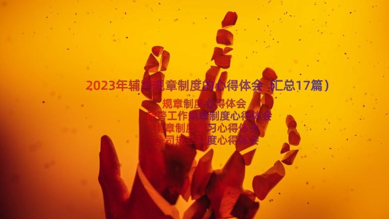 2023年辅警规章制度的心得体会（汇总17篇）