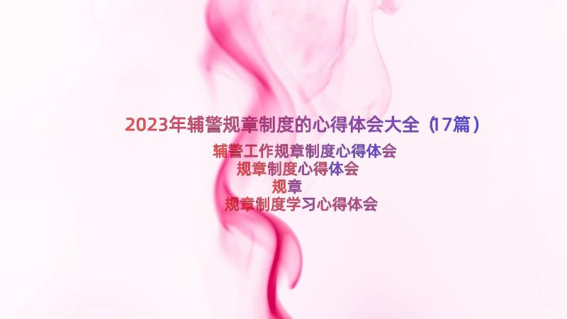 2023年辅警规章制度的心得体会大全（17篇）