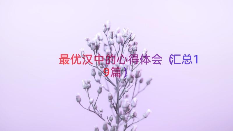 最优汉中的心得体会（汇总19篇）