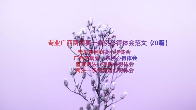 专业广西两纲要一条例心得体会范文（20篇）